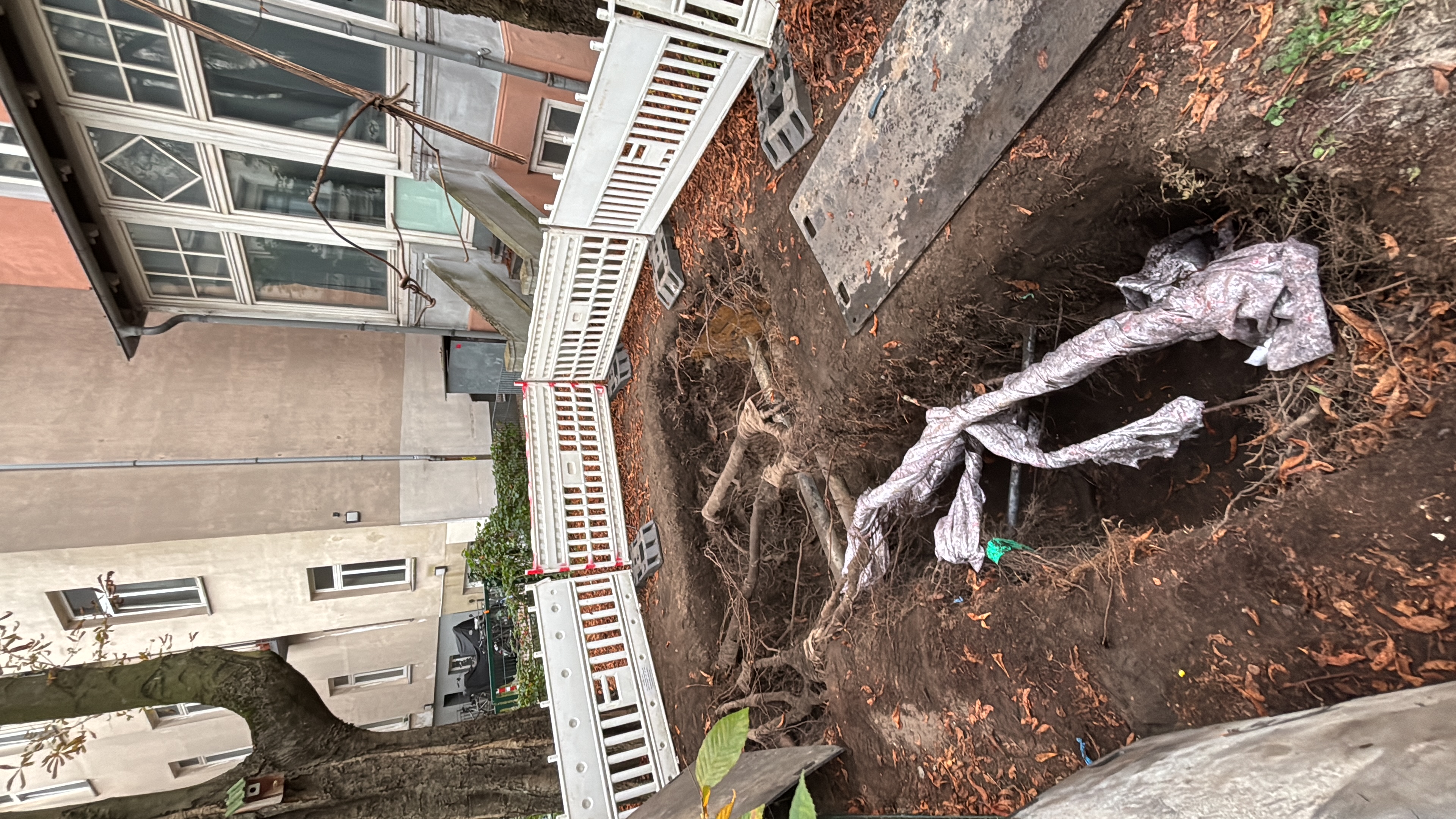 Saugbagger unter Baum